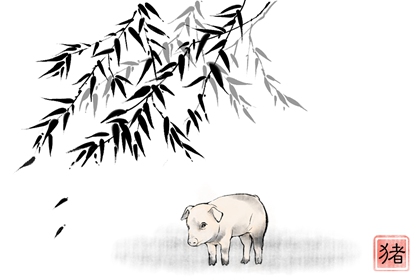屬豬的幾月出生最好命 出類拔萃超群絕倫